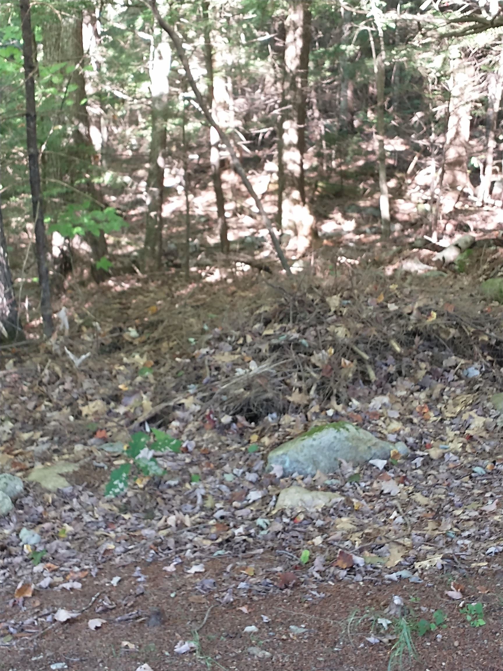Lot #22 Deer Run Road Middleton, NH 03887 - Photo 2 of 8
