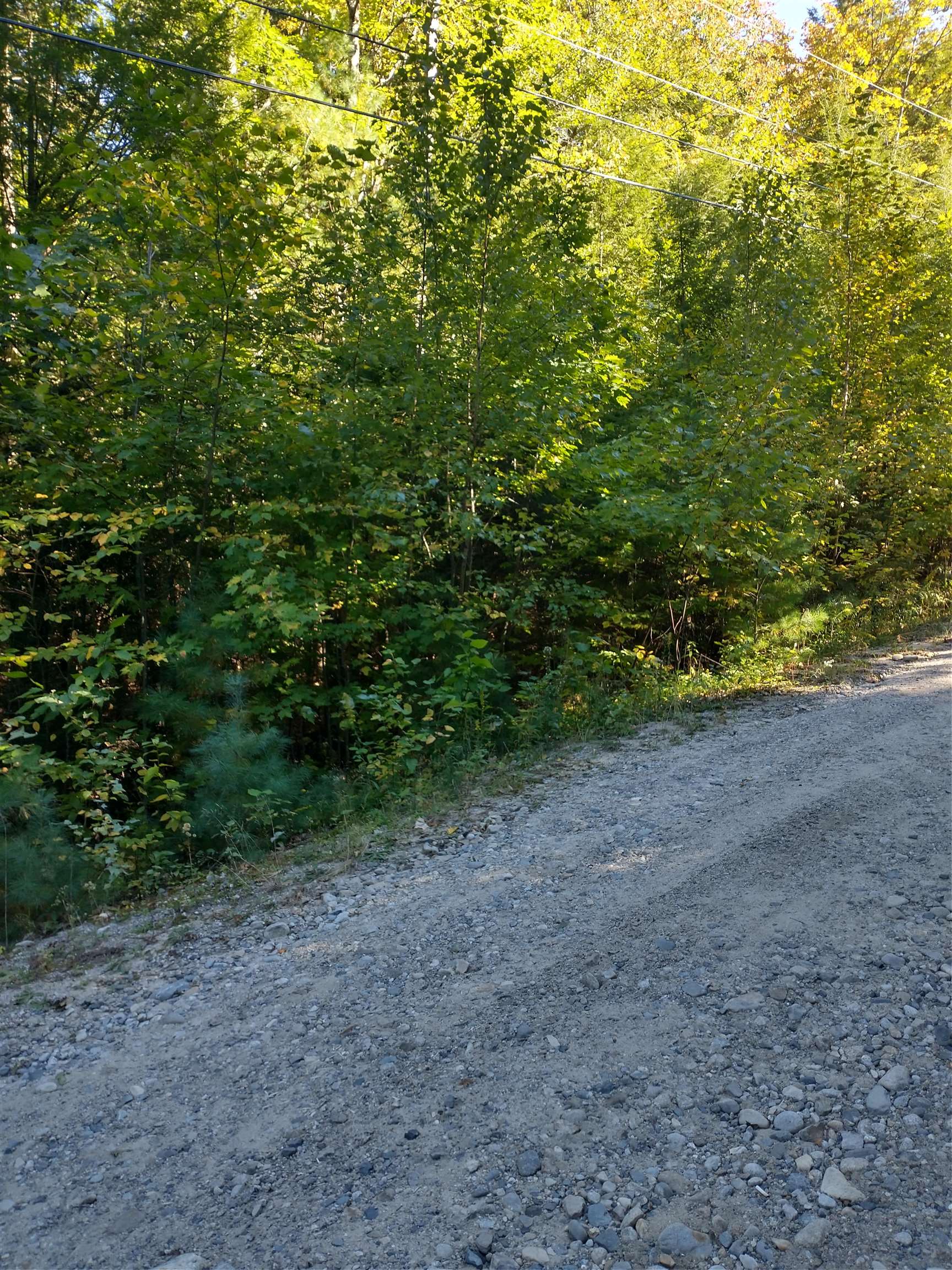Lot #22 Deer Run Road Middleton, NH 03887 - Photo 4 of 8