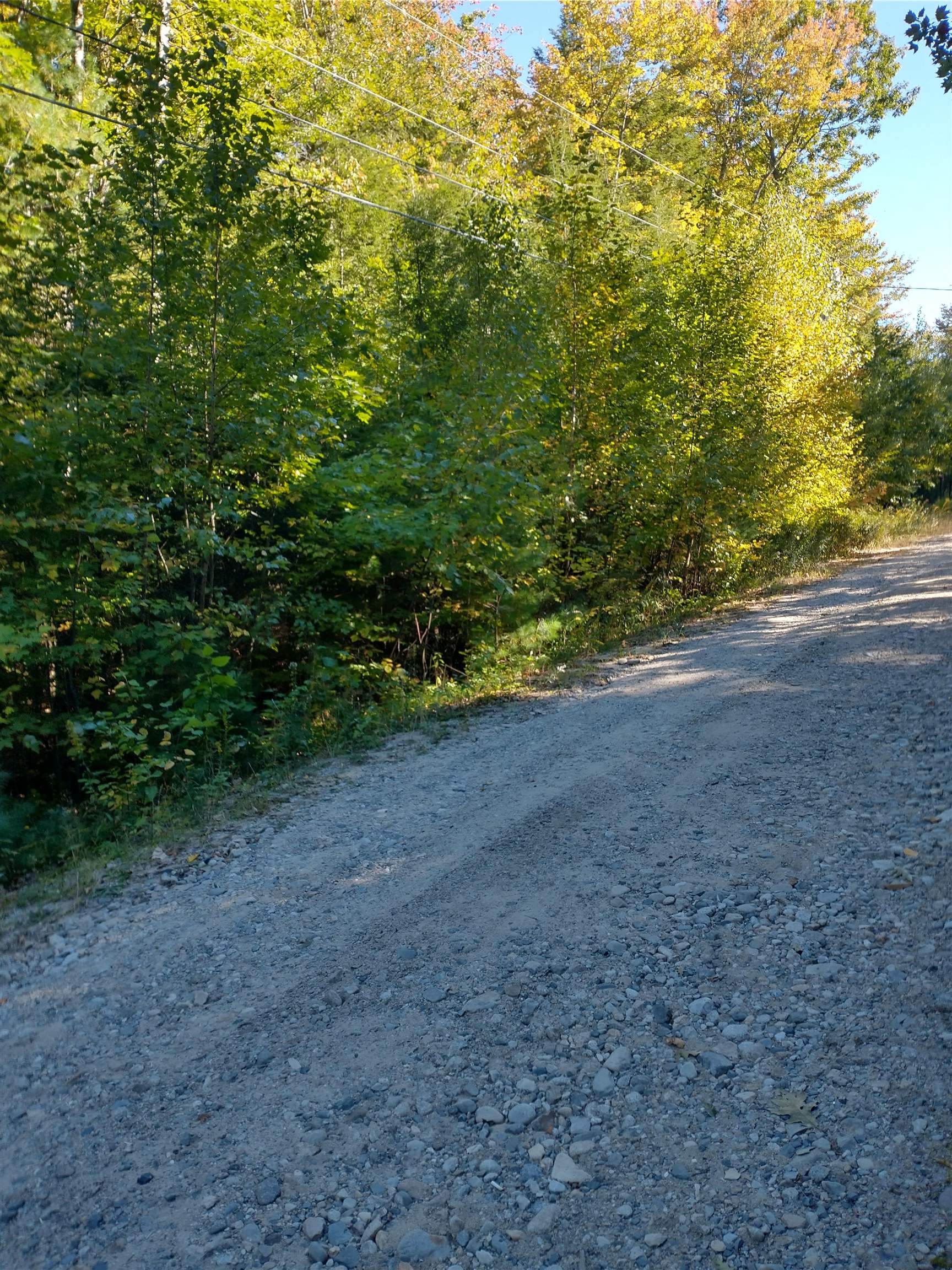Lot #22 Deer Run Road Middleton, NH 03887 - Photo 5 of 8