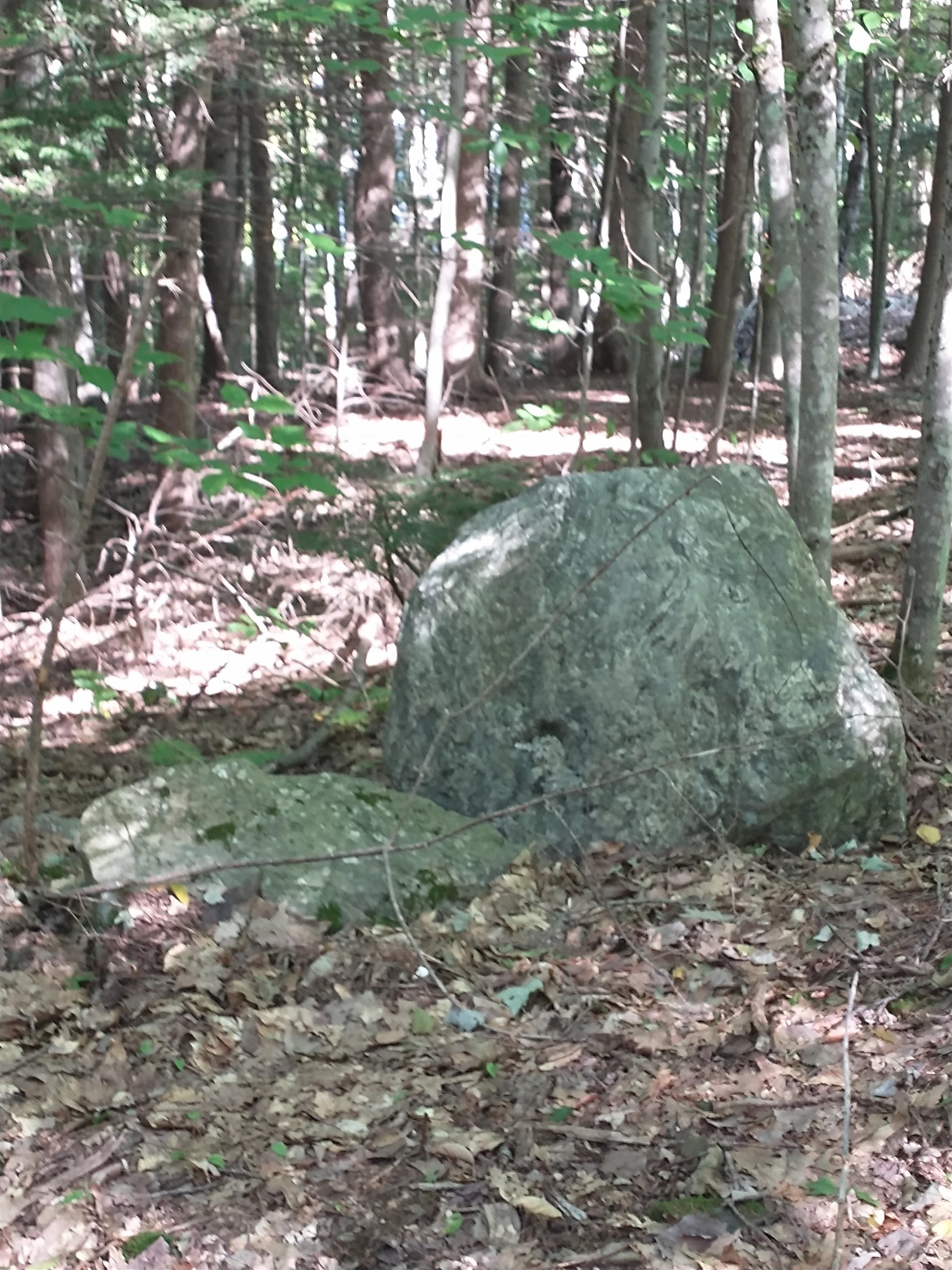 Lot #22 Deer Run Road Middleton, NH 03887 - Photo 6 of 8