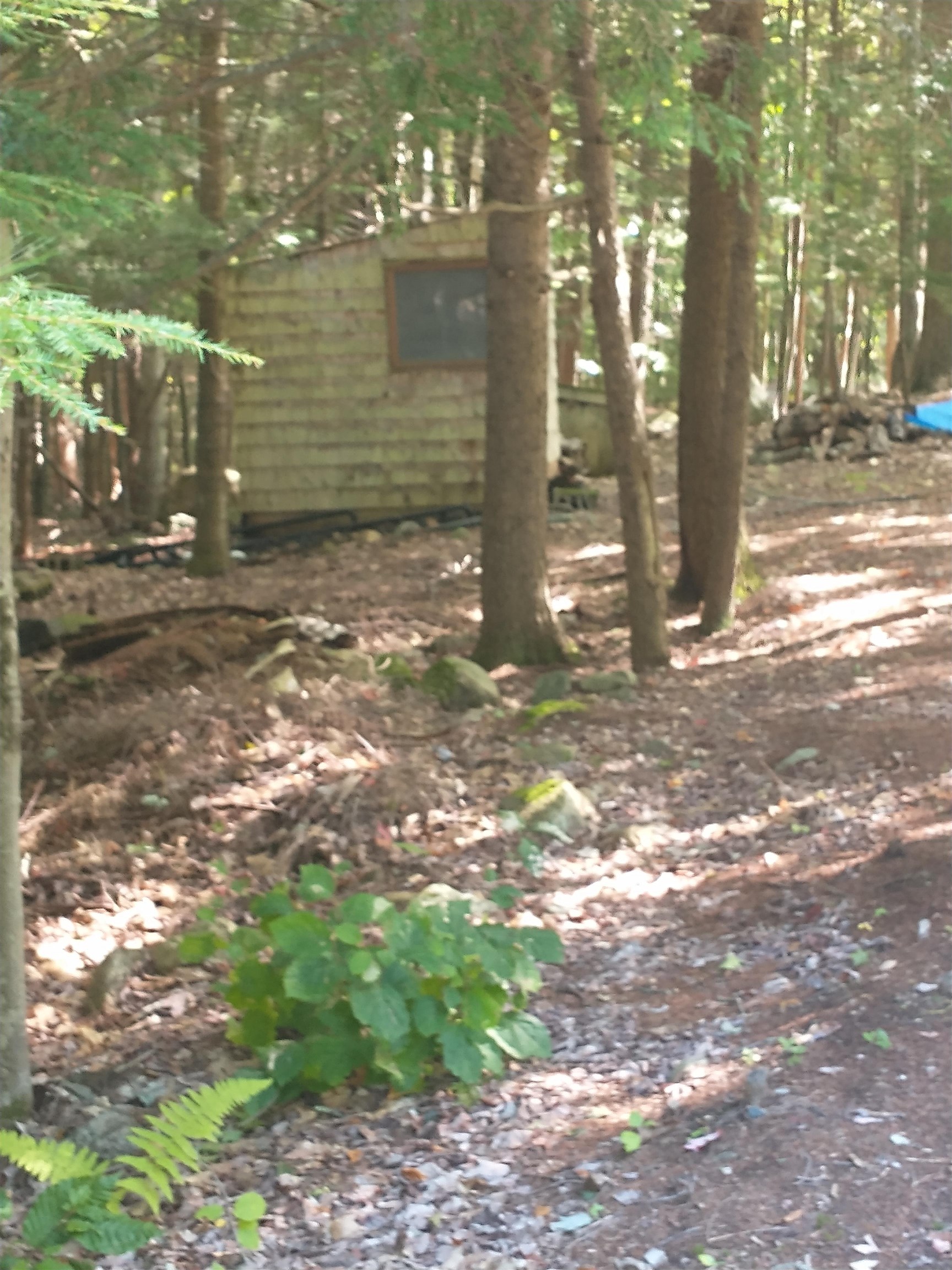Lot #22 Deer Run Road Middleton, NH 03887 - Photo 8 of 8