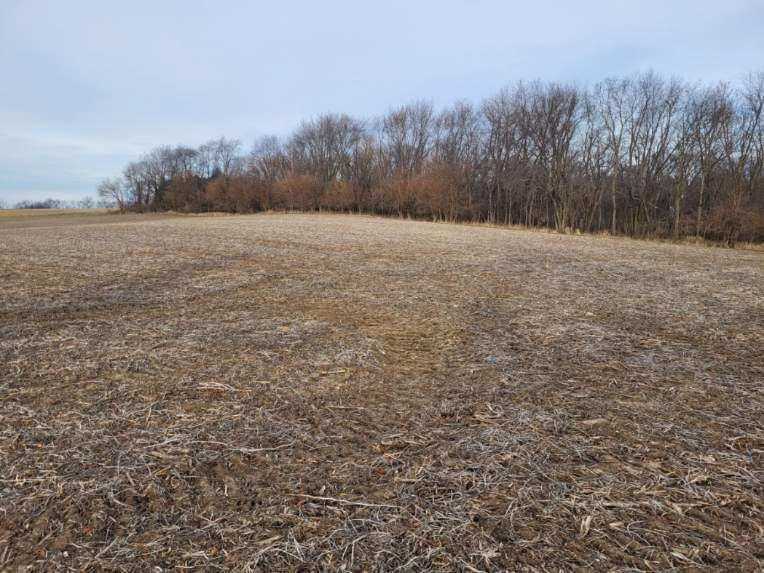 Tbd Richland Road Freeport, IL 61032 - Photo 4 of 6 a view of outdoor space with trees