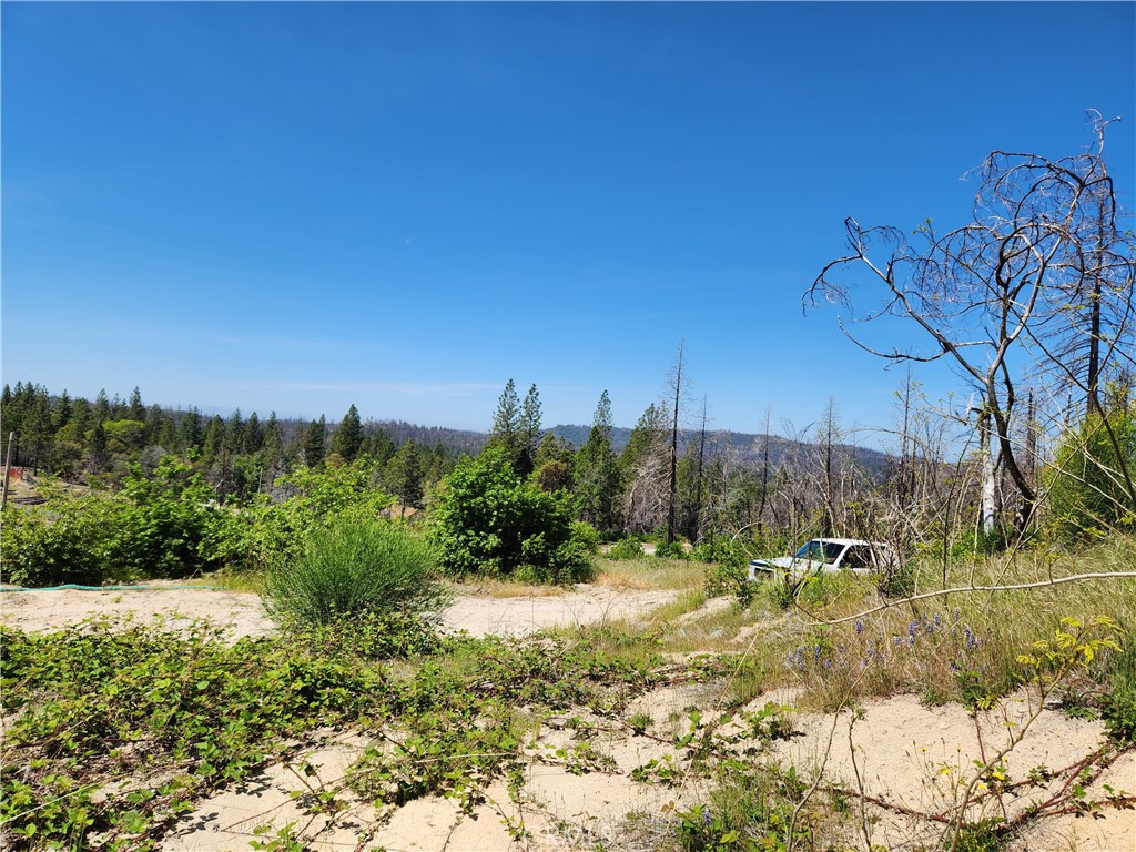 2175 Bald Rock Road Berry Creek, CA 95916 - Photo 11 of 22