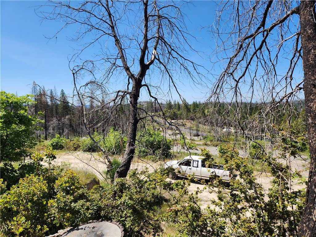 2175 Bald Rock Road Berry Creek, CA 95916 - Photo 12 of 22