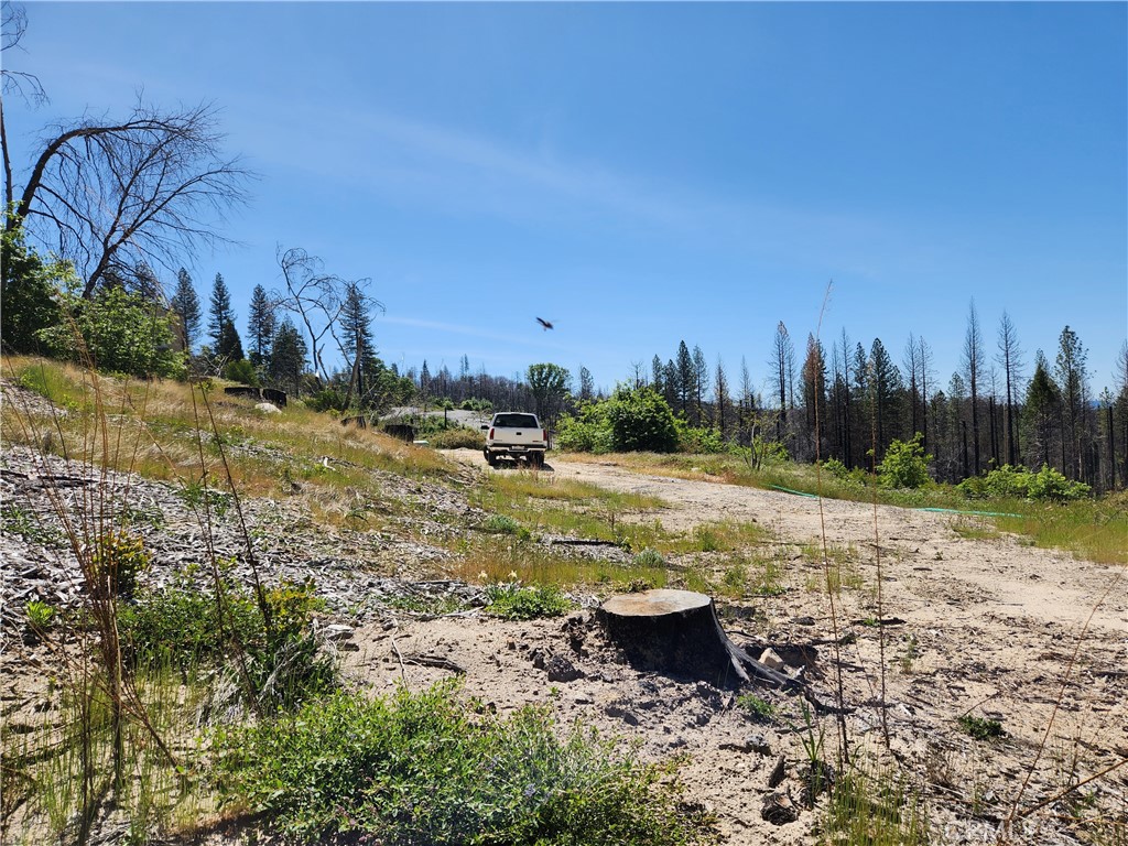 2175 Bald Rock Road Berry Creek, CA 95916 - Photo 16 of 22