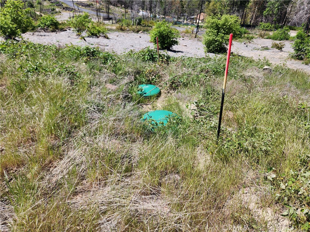 2175 Bald Rock Road Berry Creek, CA 95916 - Photo 20 of 22 Septic Tank