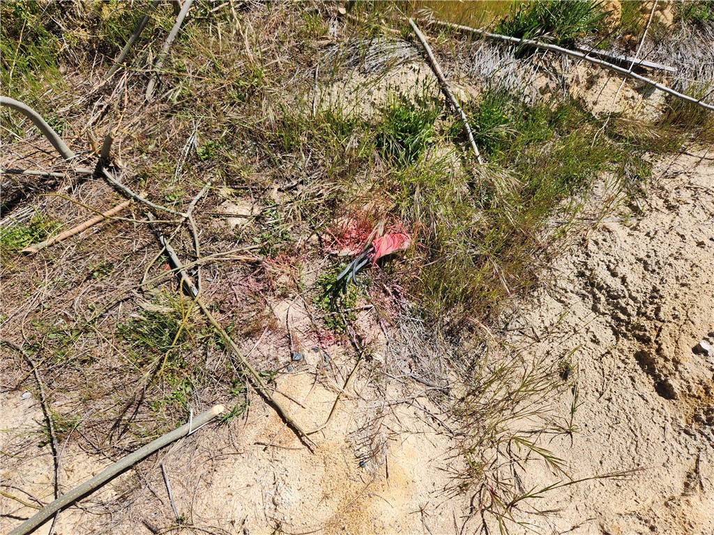 2175 Bald Rock Road Berry Creek, CA 95916 - Photo 21 of 22