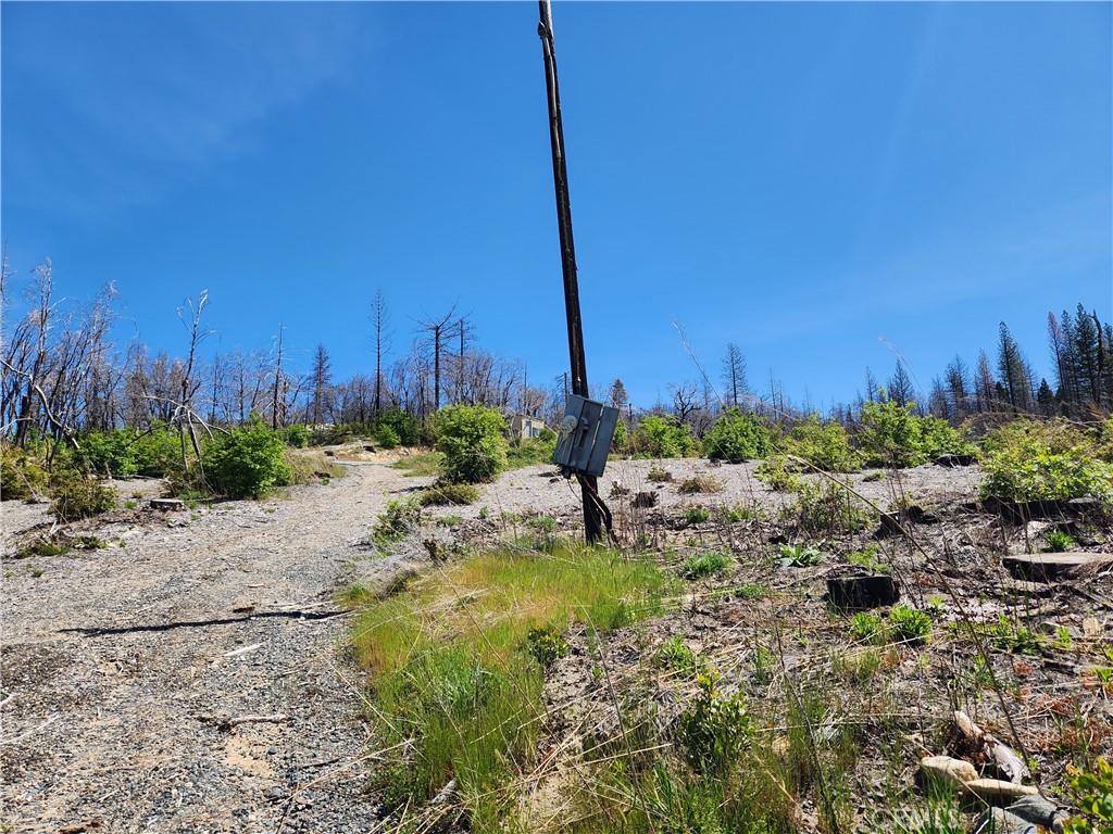 2175 Bald Rock Road Berry Creek, CA 95916 - Photo 4 of 22