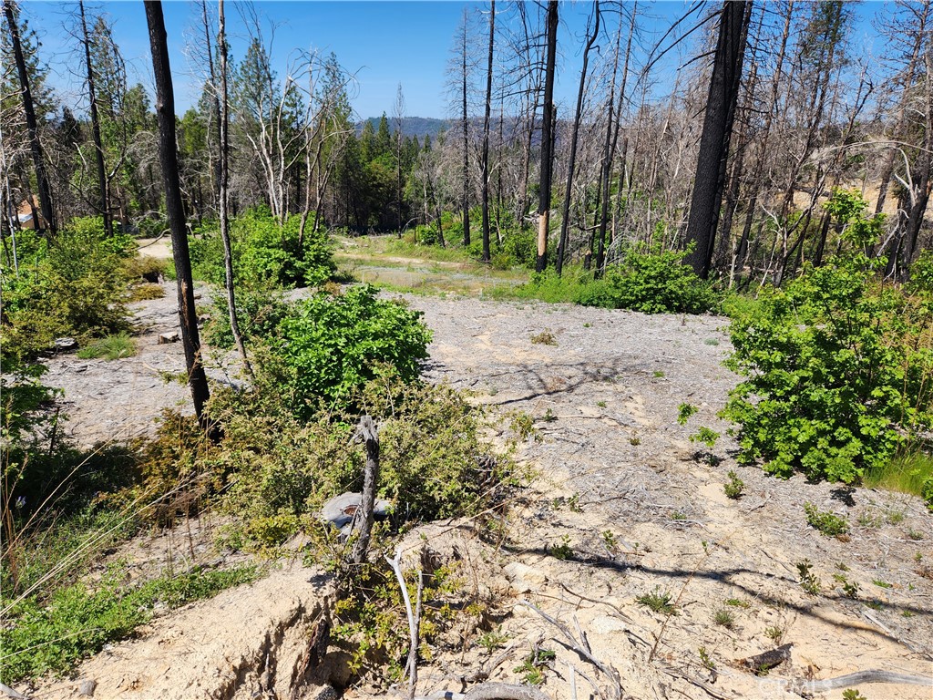 2175 Bald Rock Road Berry Creek, CA 95916 - Photo 5 of 22