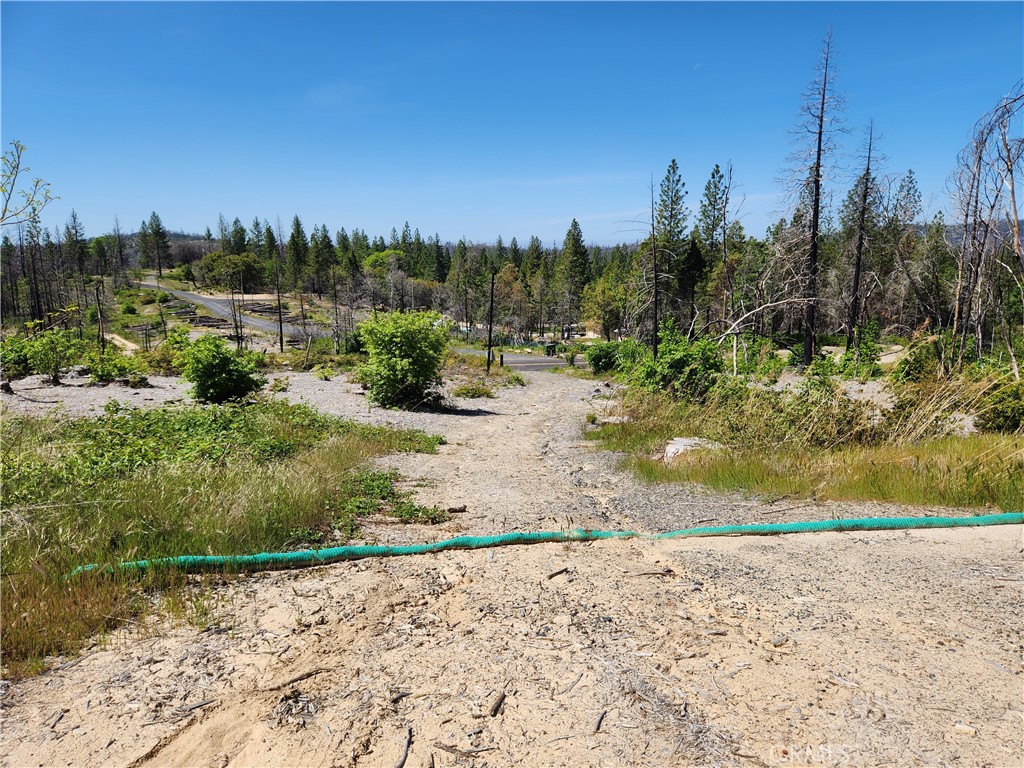 2175 Bald Rock Road Berry Creek, CA 95916 - Photo 6 of 22