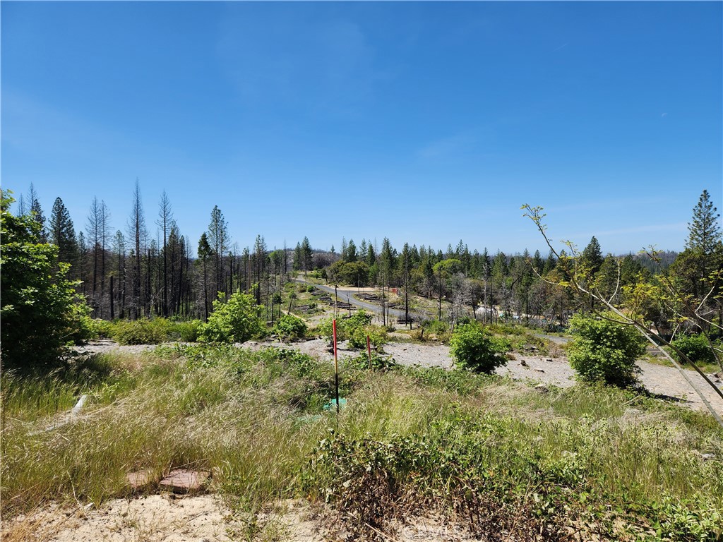 2175 Bald Rock Road Berry Creek, CA 95916 - Photo 7 of 22