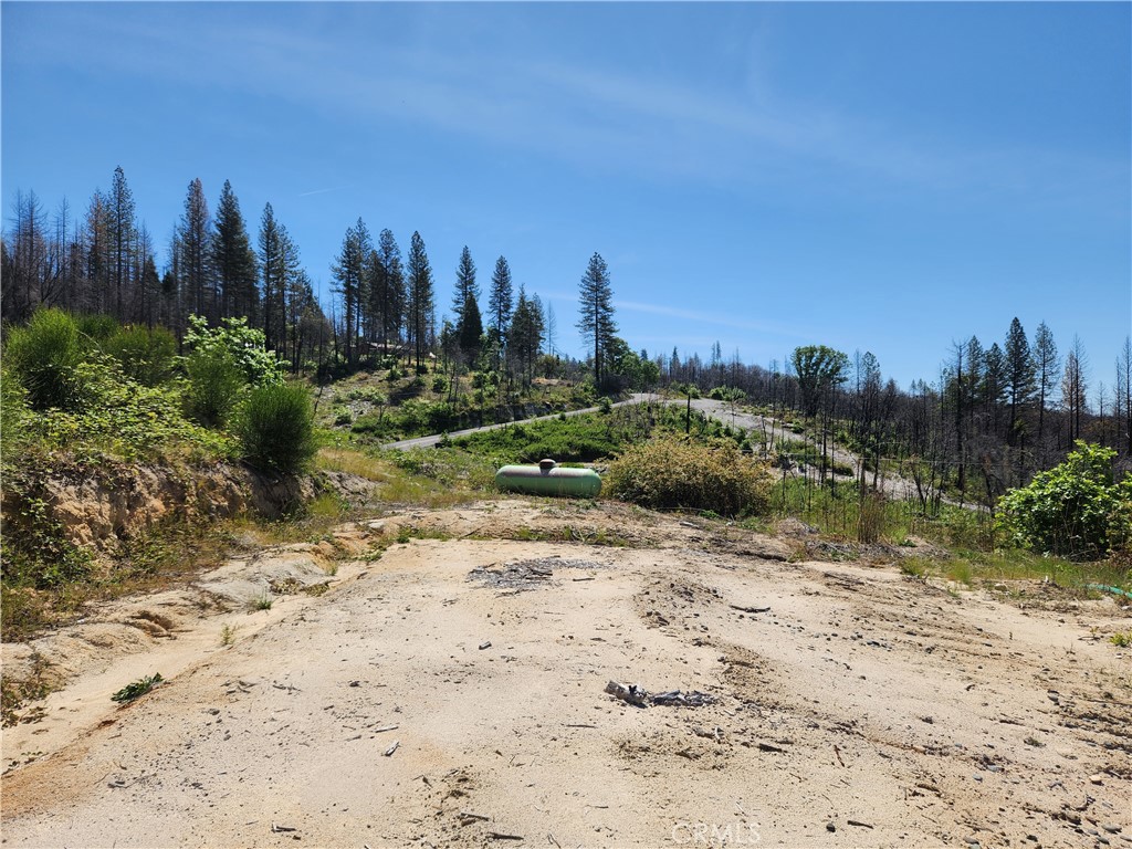 2175 Bald Rock Road Berry Creek, CA 95916 - Photo 8 of 22