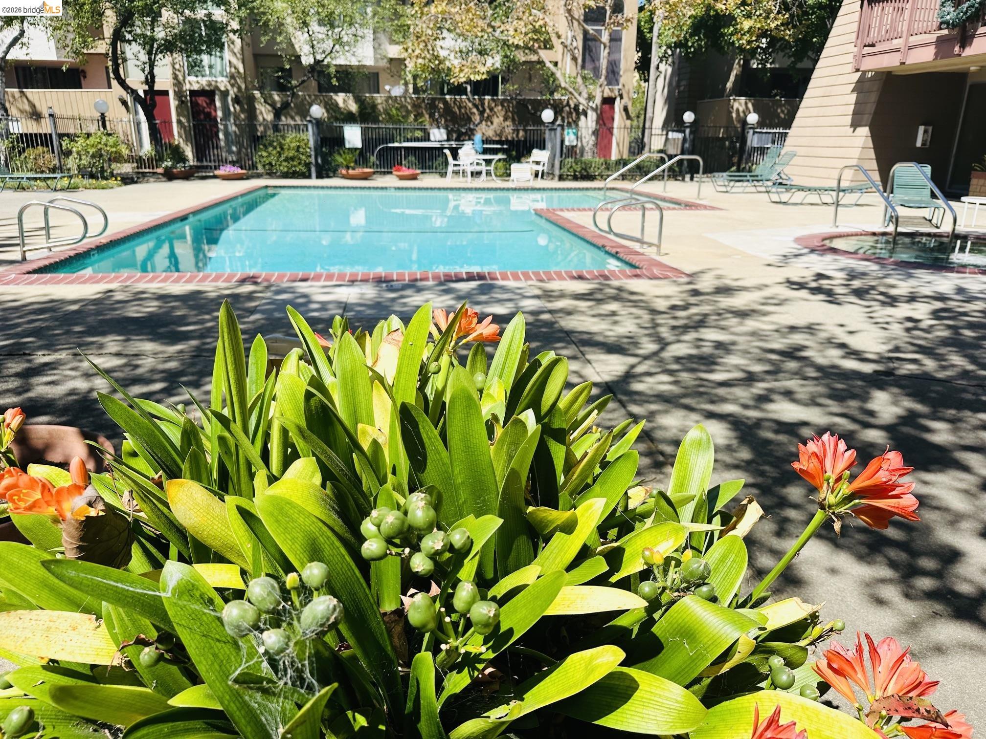 2121 Vale Road, Unit 50 San Pablo, CA 94806 - Photo 14 of 28 Resort-style outdoor pool area featuring a rectangular swimming pool, a circular spa, and a surrounding concrete deck with metal railings