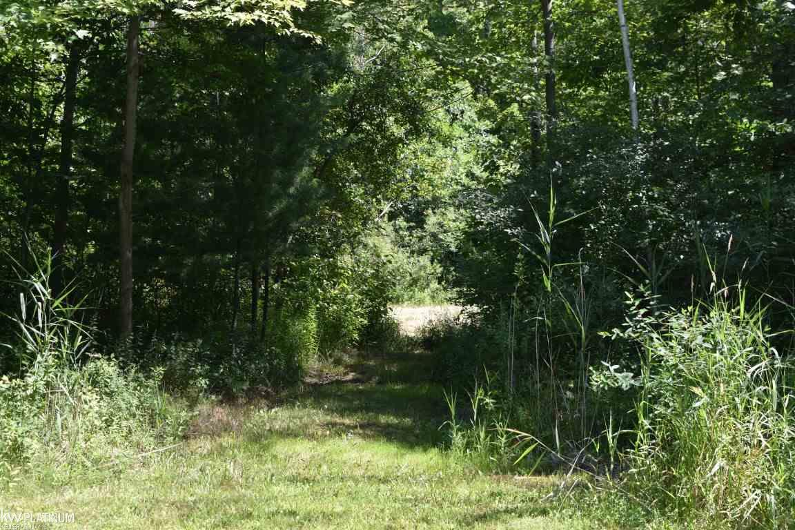 8860 Big Hand Road Columbus, MI 48063 - Photo 28 of 79