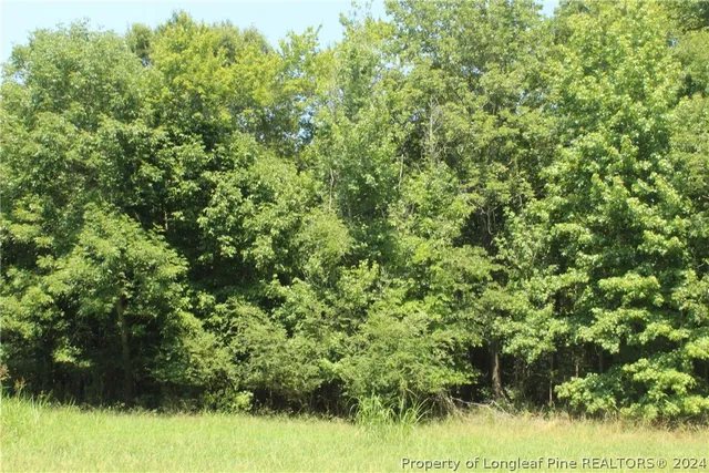 $335,000 | Tbd Siler City Glendon Road, Bear Creek, NC 27207