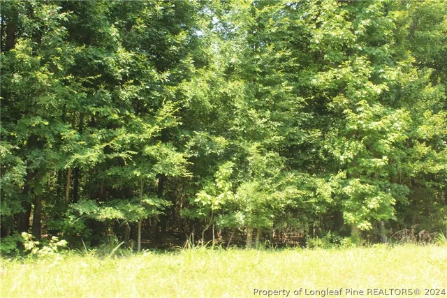 $335,000 | Tbd Siler City Glendon Road, Bear Creek, NC 27207