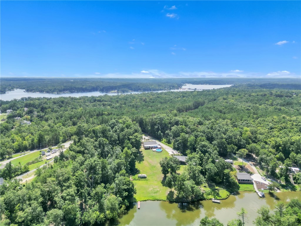 48 Tierra Drive Waterloo, SC 29384 - Photo 23 of 42 Mature woodlands frame a scenic lakeside setting with expansive water views under clear skies.