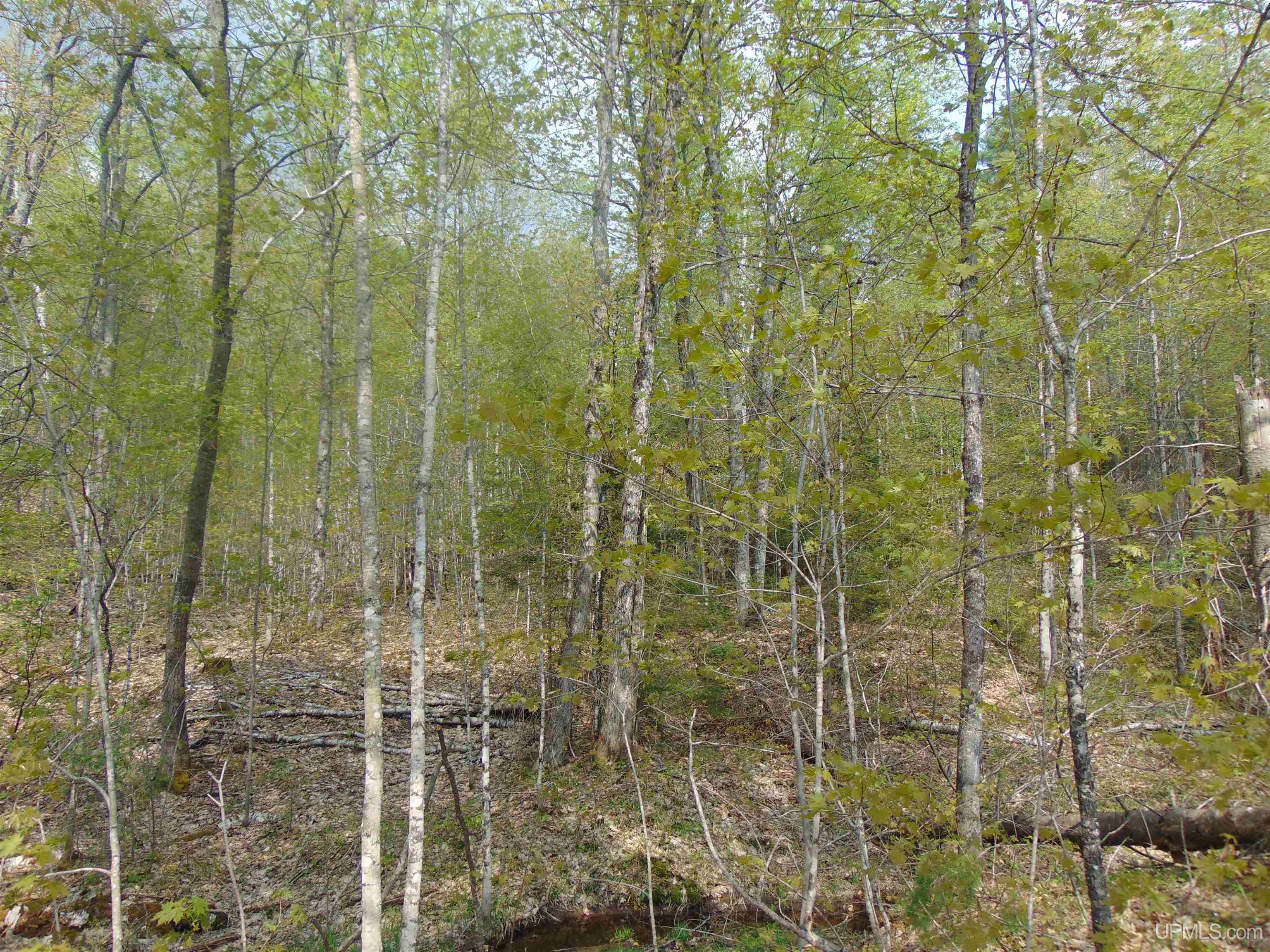 Tbd 100-ac Tbd 100-ac Co Road Ishpeming, MI 49849 - Photo 8 of 28