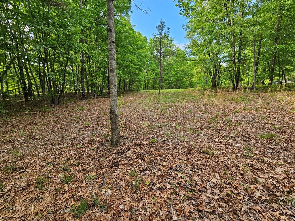 664 8.65 Ac Pond Road Buckingham, VA 23921 - Photo 9 of 20 Gallery Image 9