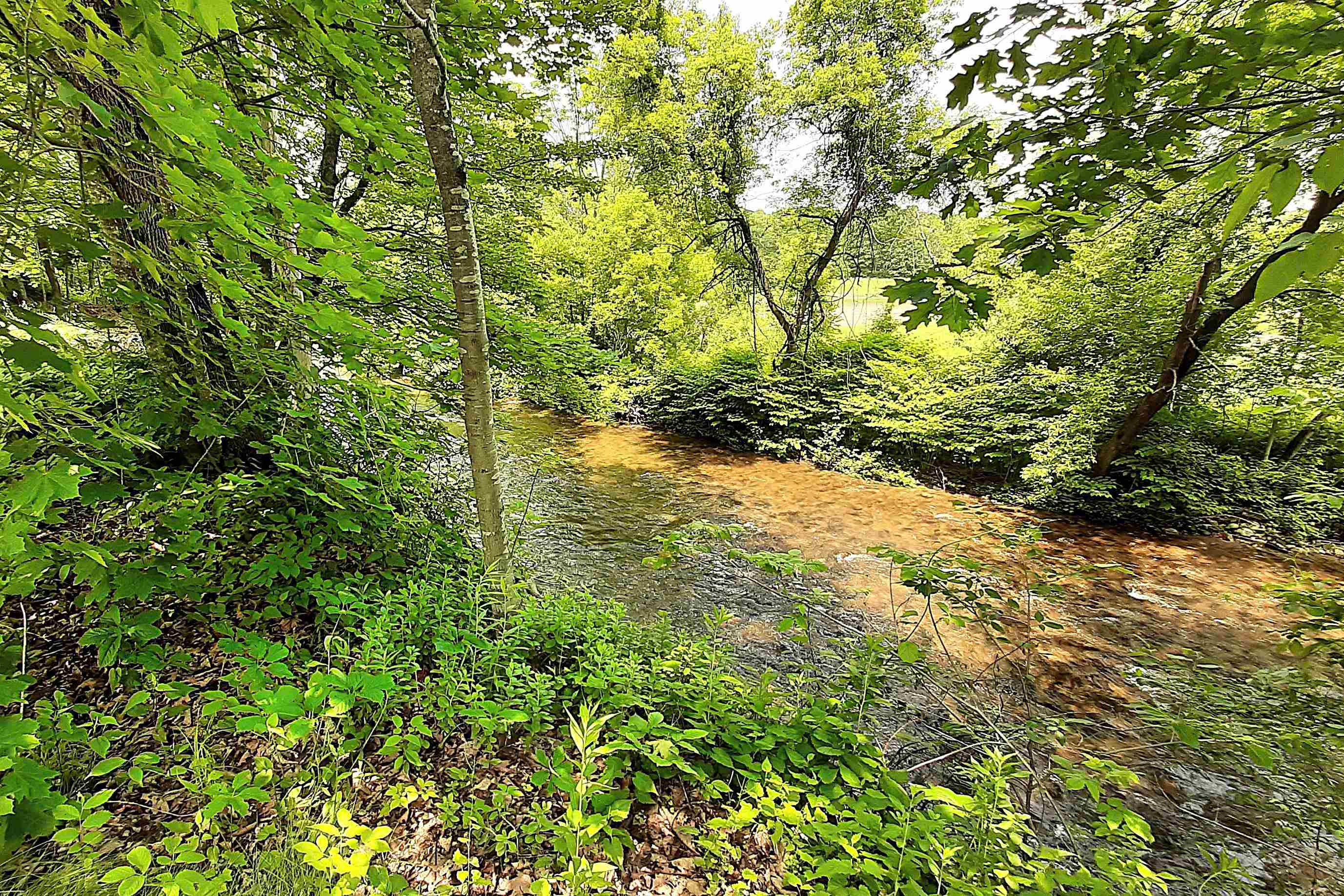 534 Elm Street Chester, VT 05143 - Photo 58 of 60