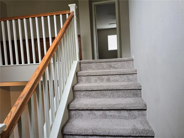 a view of a backyard with plants and a patio