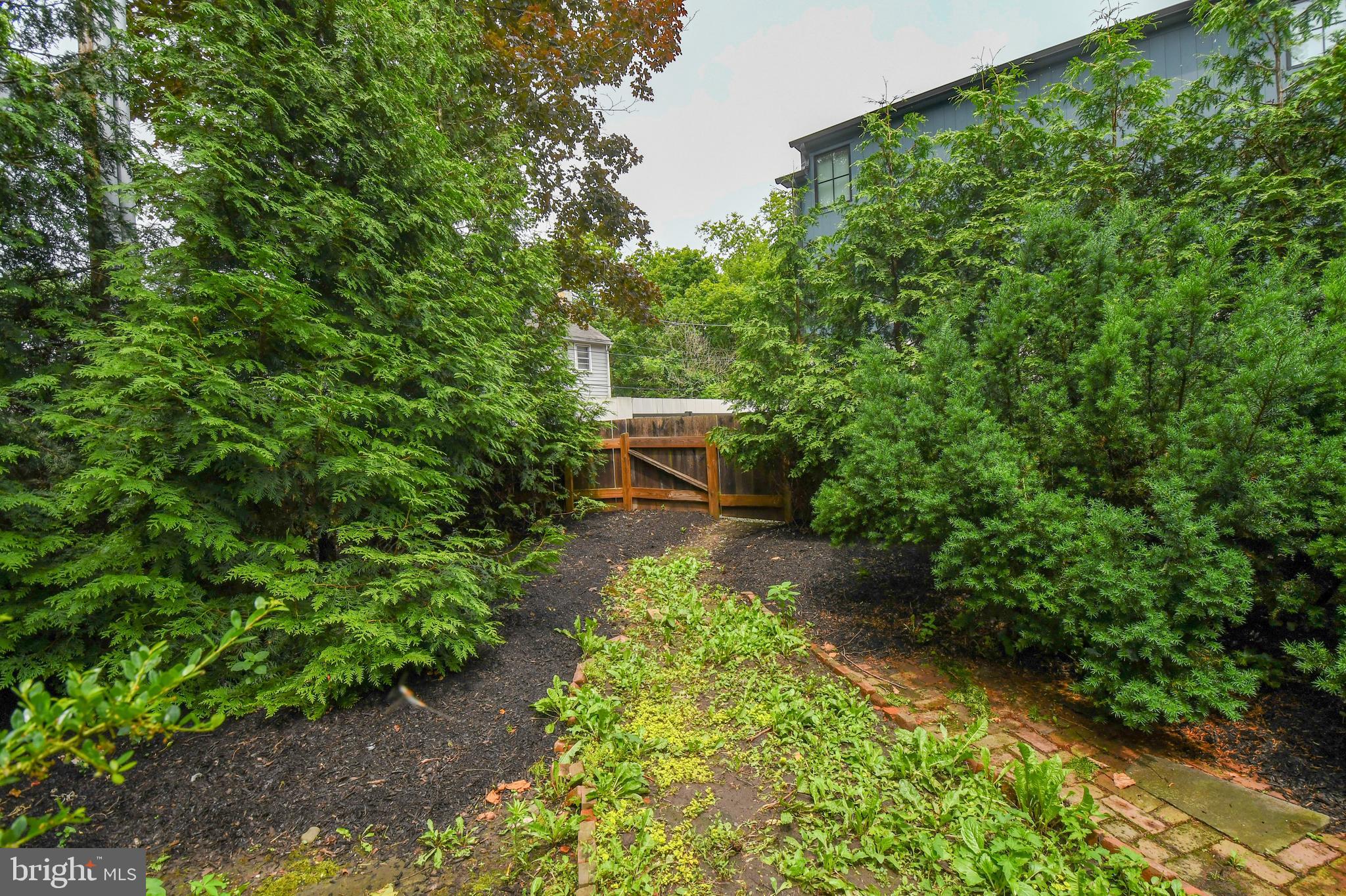 24 Waterloo Street New Hope, PA 18938 - Photo 3 of 11