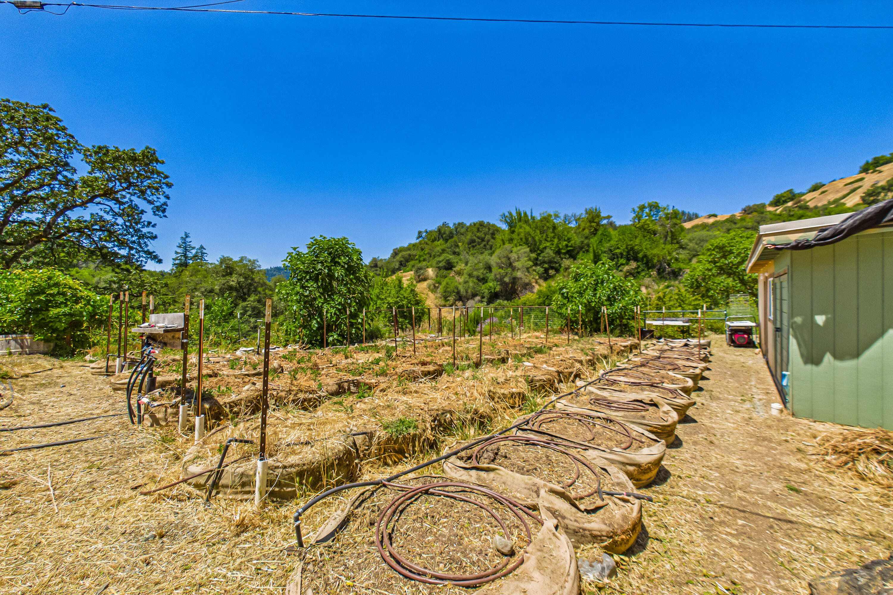 1250 Zenia Bluff Road Alderpoint, CA 95511 - Photo 61 of 73