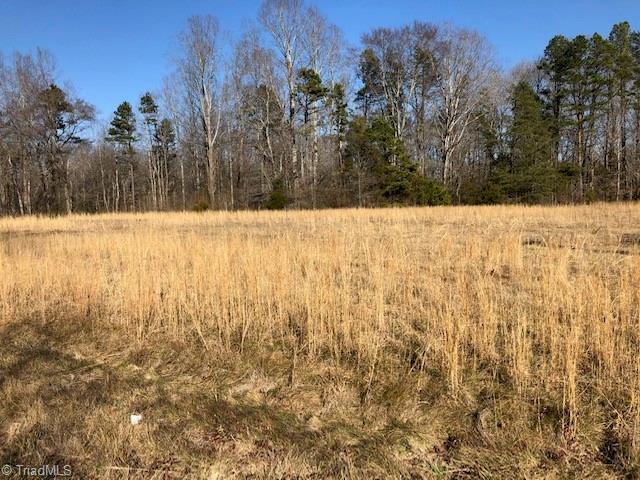902 Cornatzer Road Mocksville, NC 27028 - Photo 2 of 13