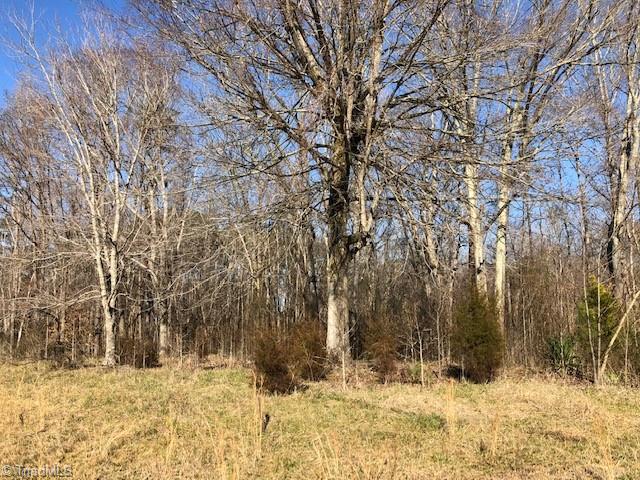 902 Cornatzer Road Mocksville, NC 27028 - Photo 4 of 13