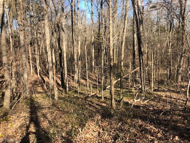 902 Cornatzer Road Mocksville, NC 27028 - Photo 5 of 13