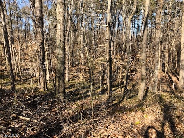 902 Cornatzer Road Mocksville, NC 27028 - Photo 6 of 13