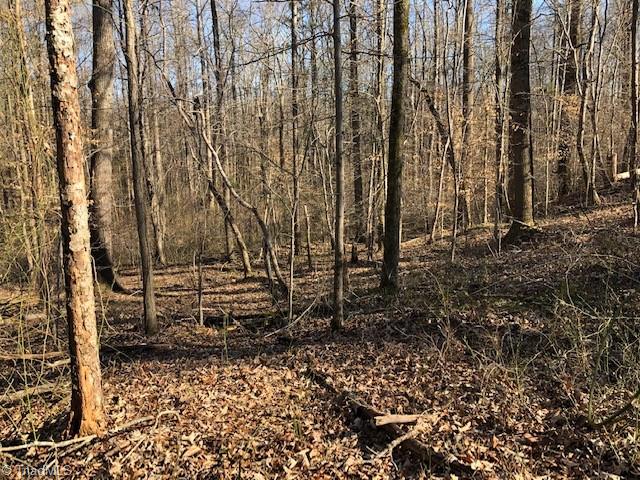 902 Cornatzer Road Mocksville, NC 27028 - Photo 7 of 13