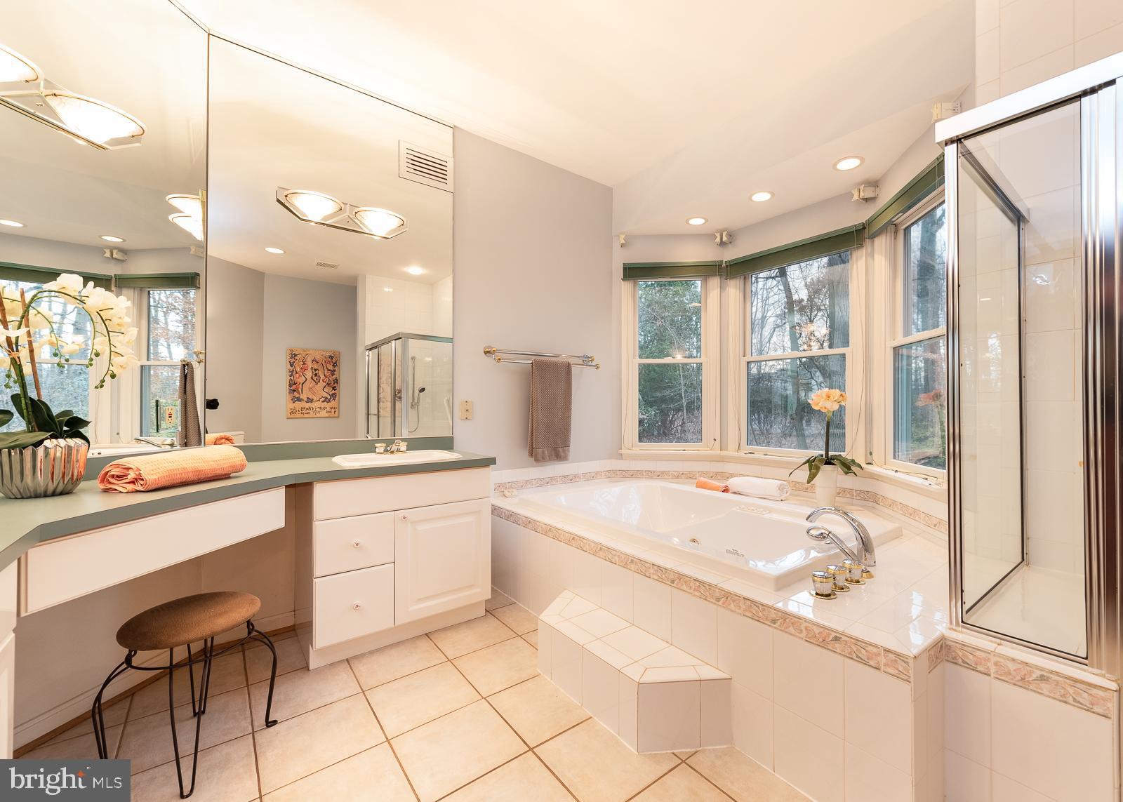 323 West Timonium Road Lutherville-Timonium, MD 21093 - Photo 19 of 38 Escape From Any Woes with a Jacuzzi Tub
