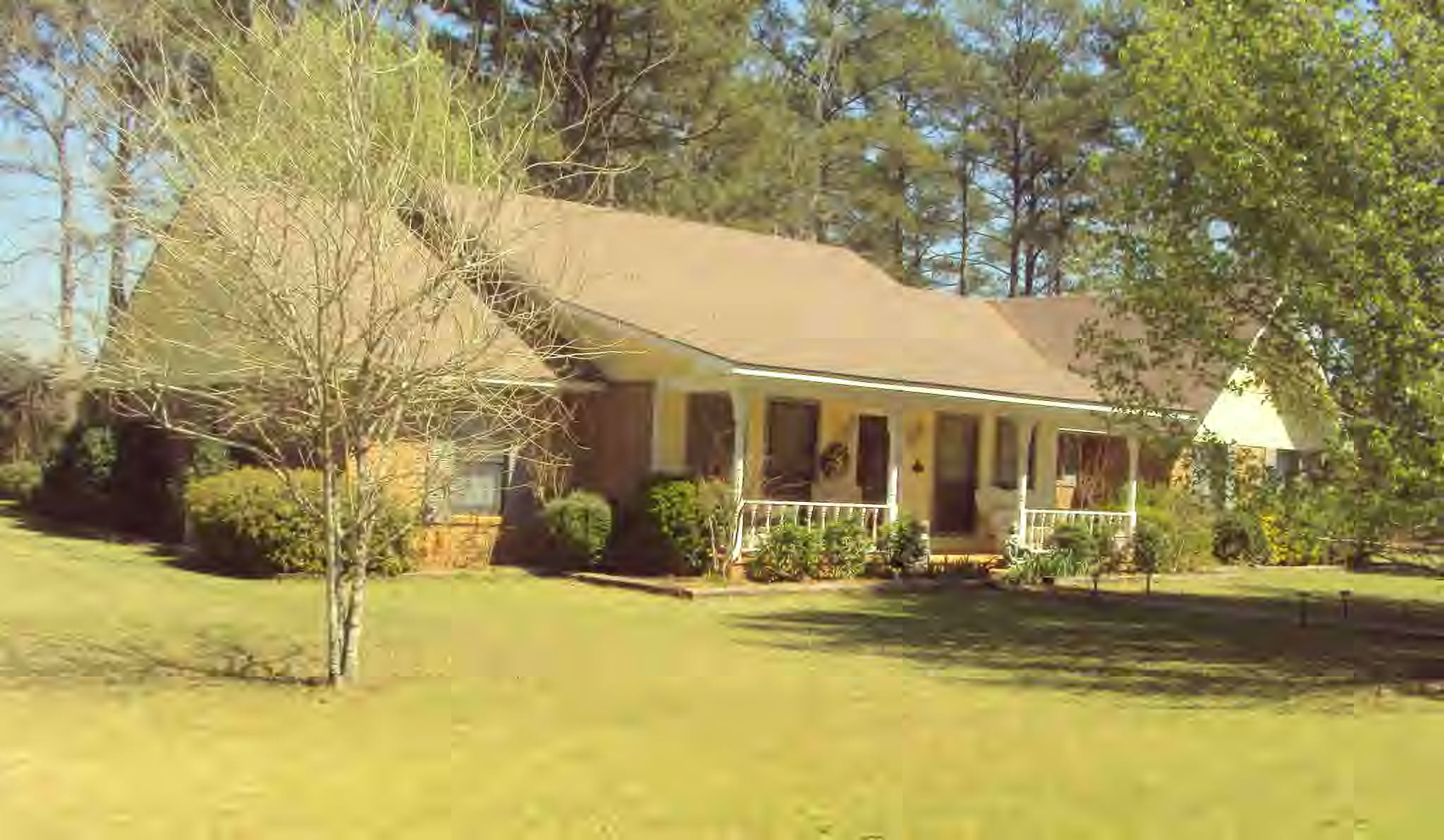 Main View