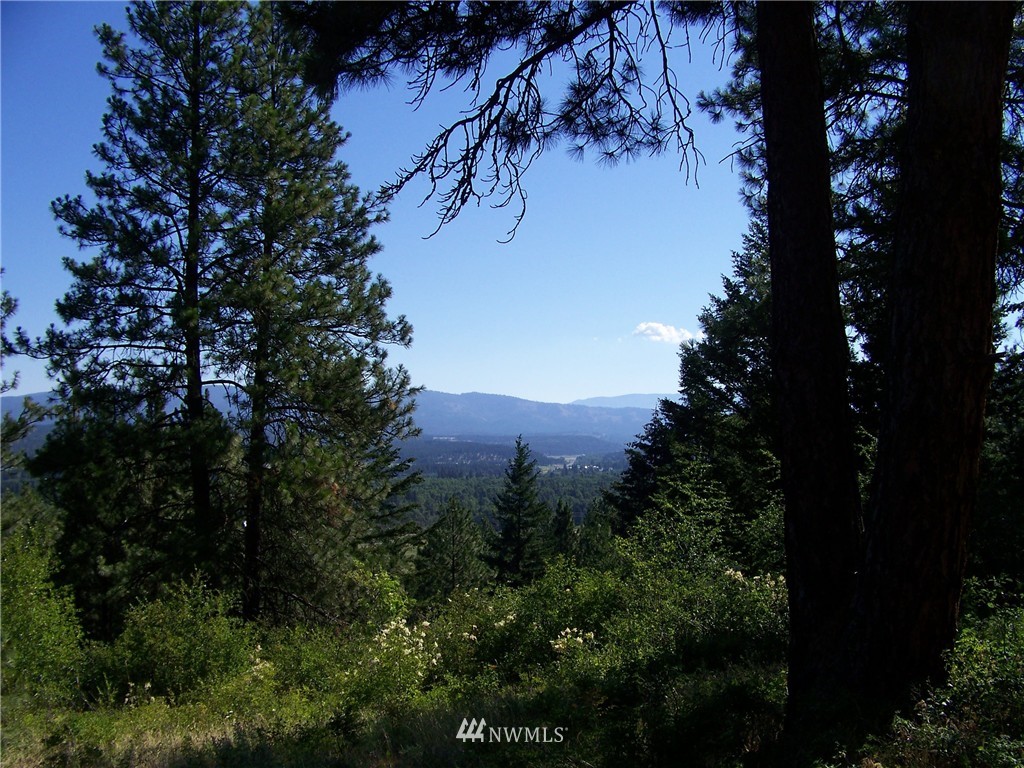 4-6 Lot Road Cle Elum, WA 98922 - Photo 1 of 14 Gallery Image 1