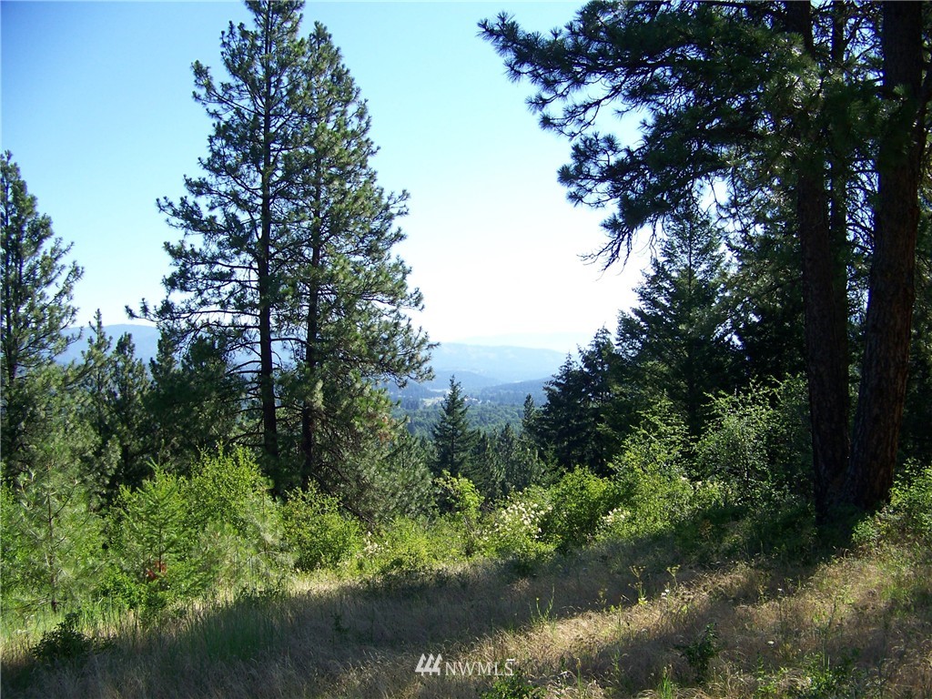 4-6 Lot Road Cle Elum, WA 98922 - Photo 2 of 14 Gallery Image 2