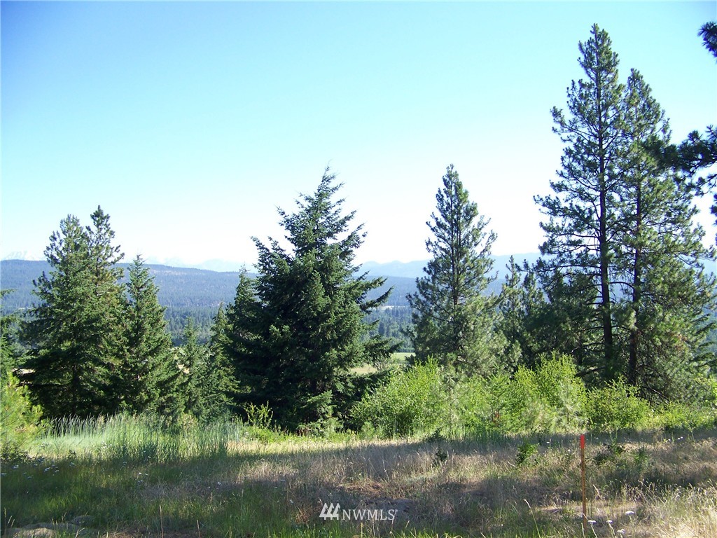 4-6 Lot Road Cle Elum, WA 98922 - Photo 3 of 14 Gallery Image 3