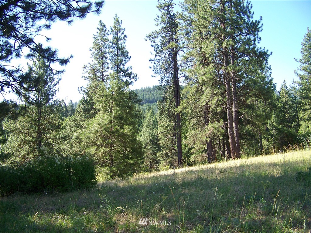 4-6 Lot Road Cle Elum, WA 98922 - Photo 4 of 14 Gallery Image 4