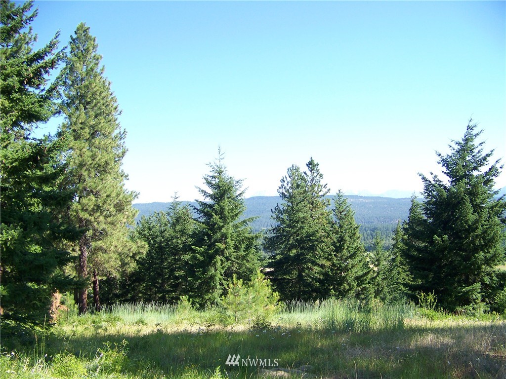 4-6 Lot Road Cle Elum, WA 98922 - Photo 5 of 14 Gallery Image 5