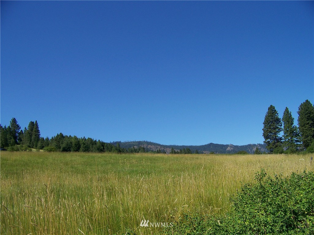 4-6 Lot Road Cle Elum, WA 98922 - Photo 7 of 14 Gallery Image 7