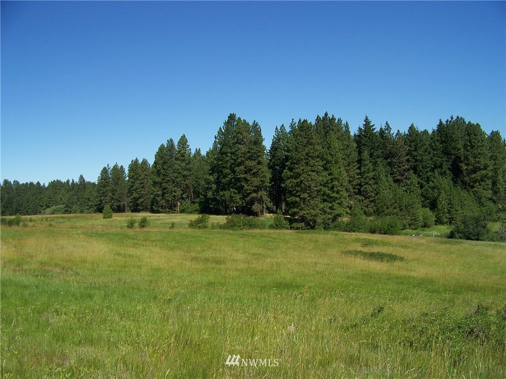 4-6 Lot Road Cle Elum, WA 98922 - Photo 8 of 14 Gallery Image 8