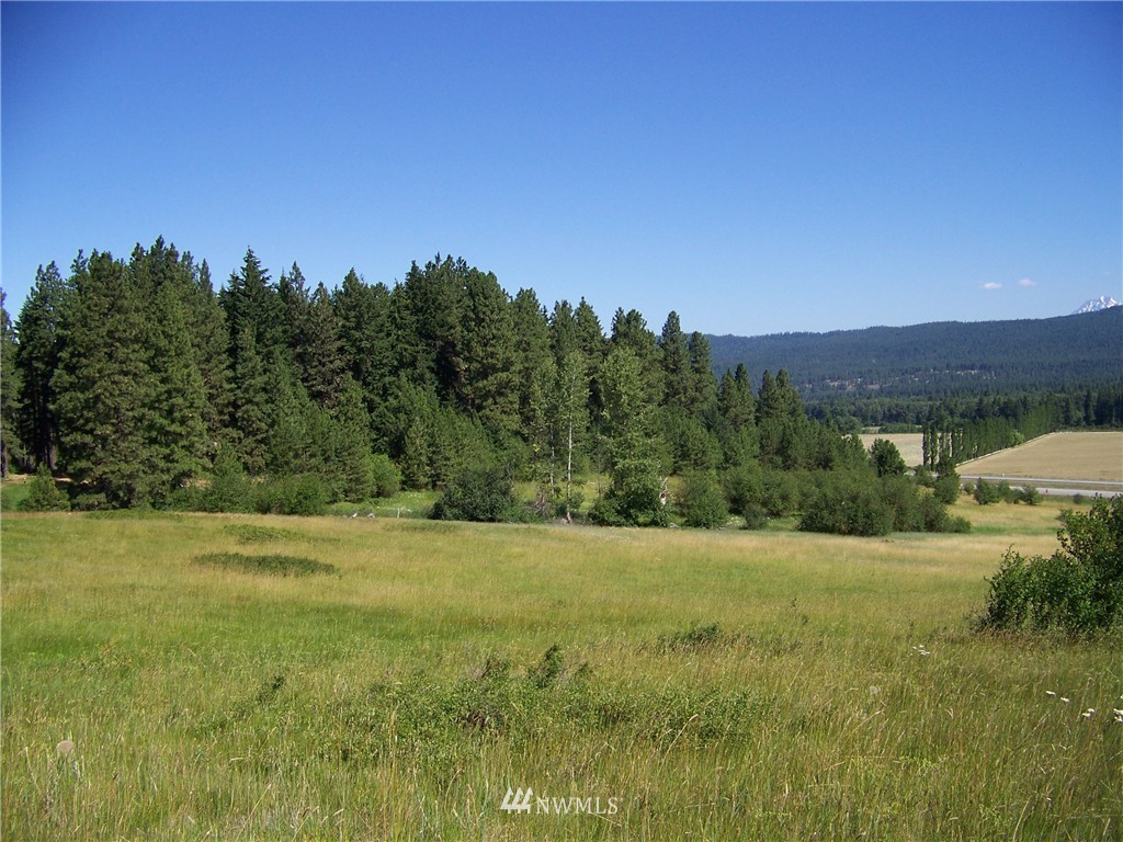 4-6 Lot Road Cle Elum, WA 98922 - Photo 10 of 14 Gallery Image 10