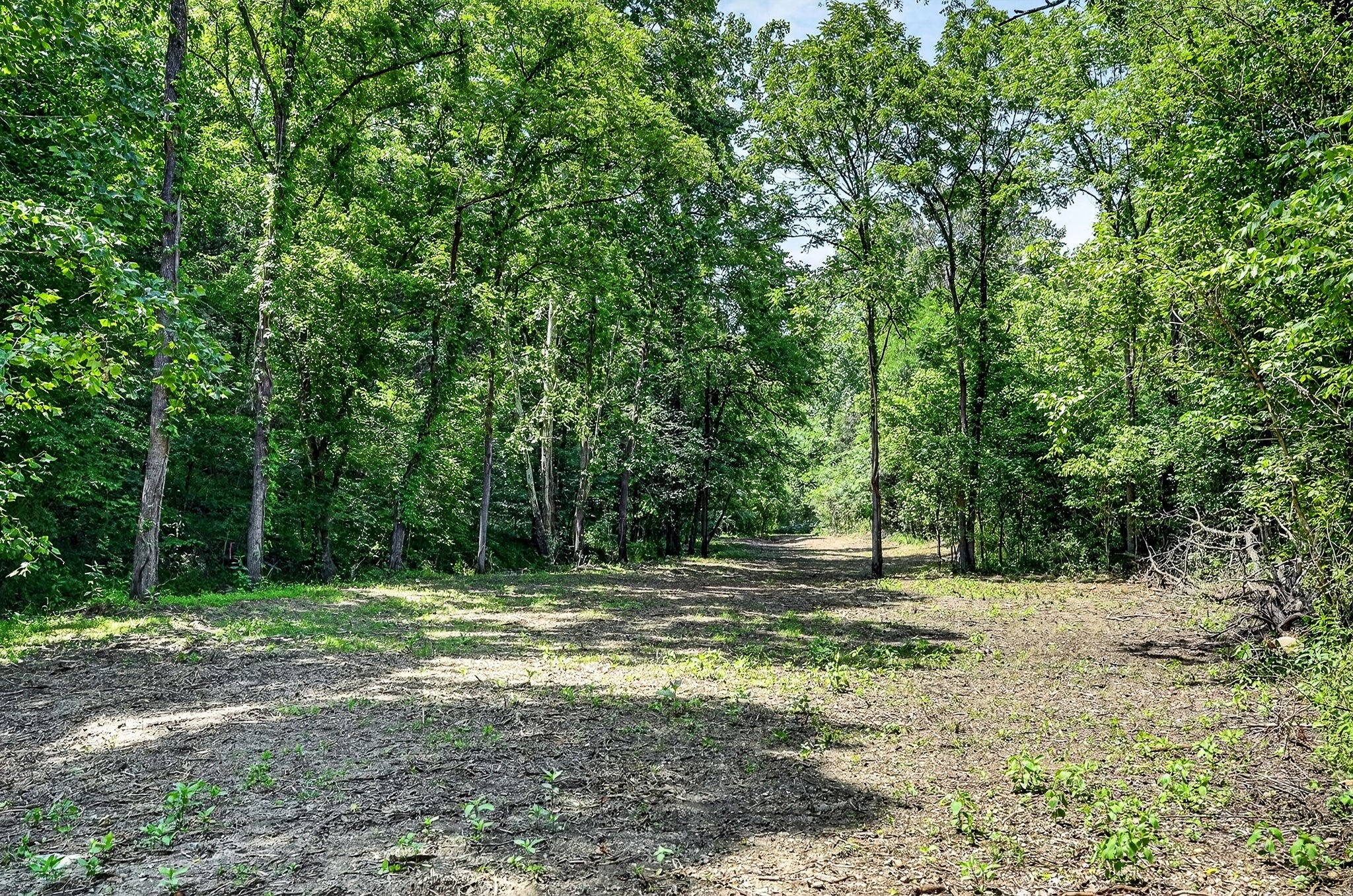 2926 Bryant Ridge Road Baxter, TN 38544 - Photo 11 of 64