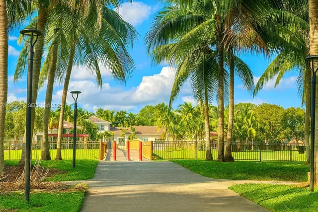 a view of a park with a palm trees