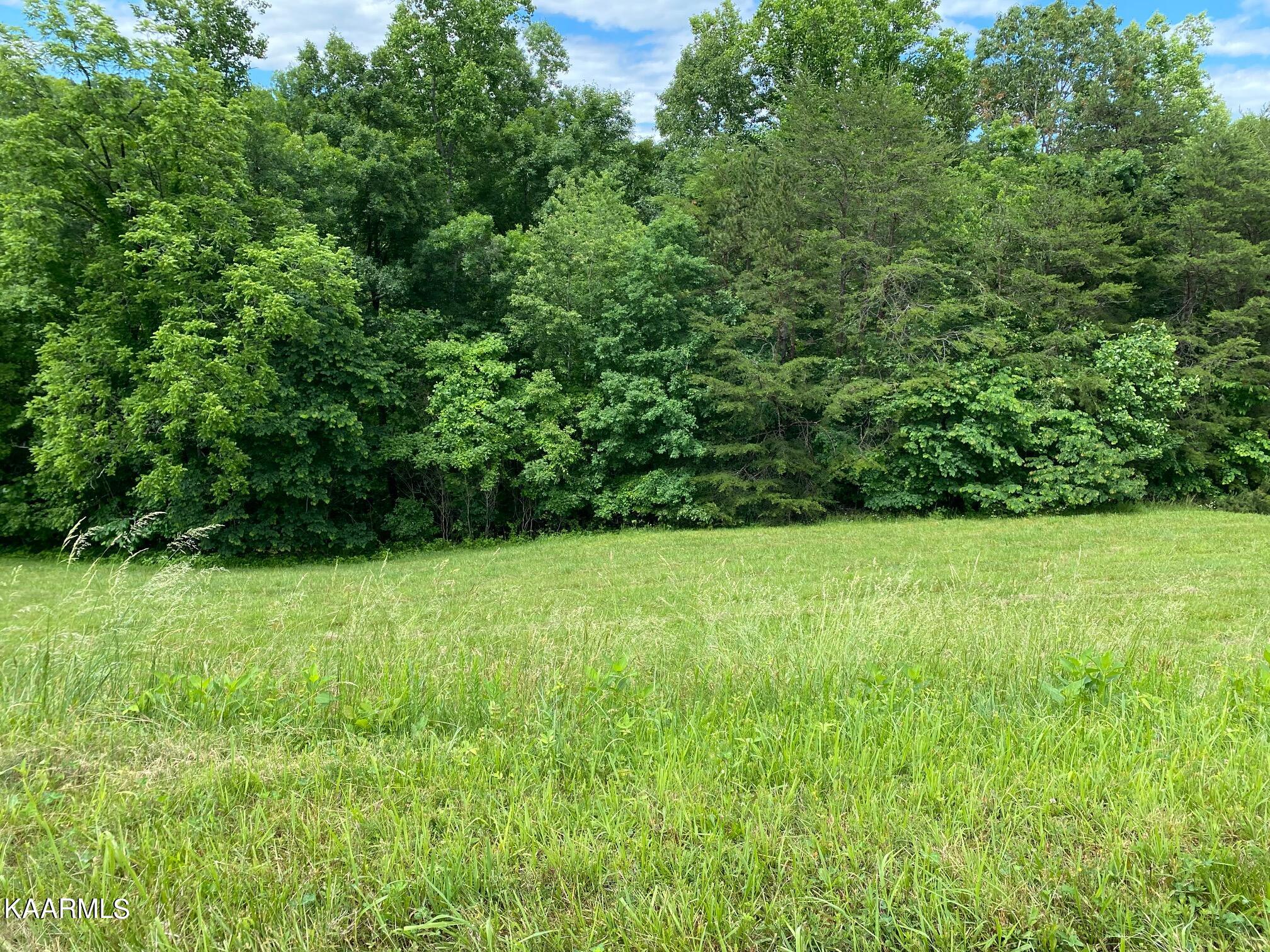 257 Marble Point Way New Tazewell, TN 37825 - Photo 1 of 9 IMG_4332