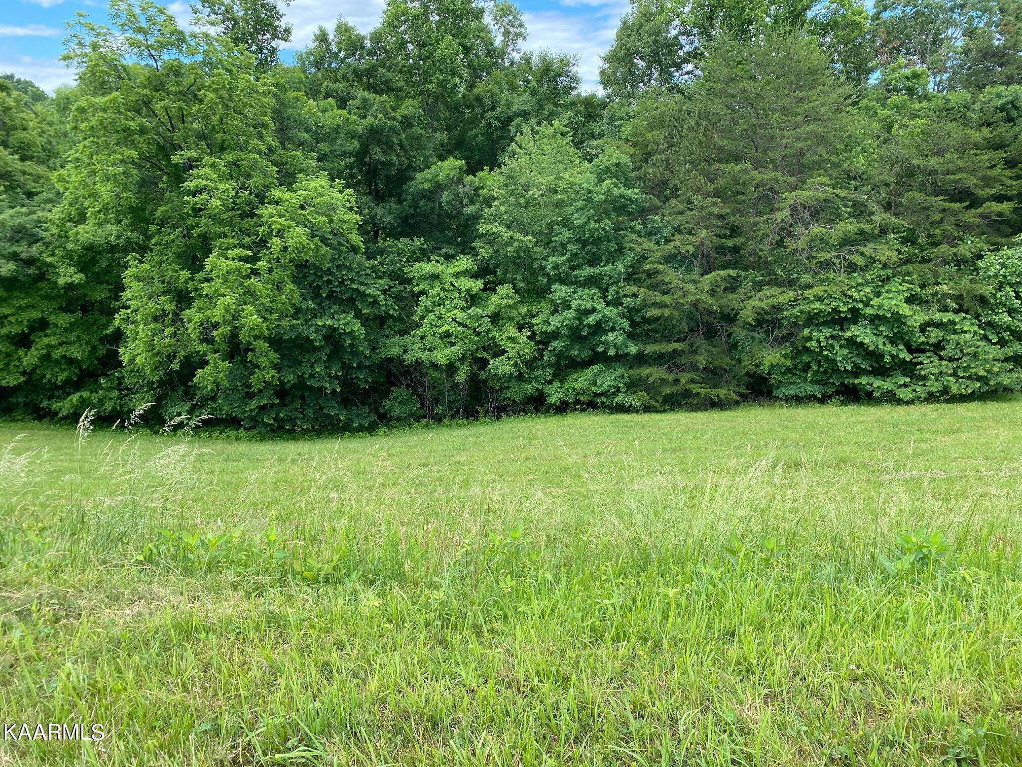 257 Marble Point Way New Tazewell, TN 37825 - Photo 2 of 9 IMG_4333