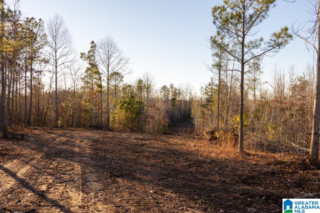 2936 County Road 29 Heflin, AL 36264 - Photo 4 of 5