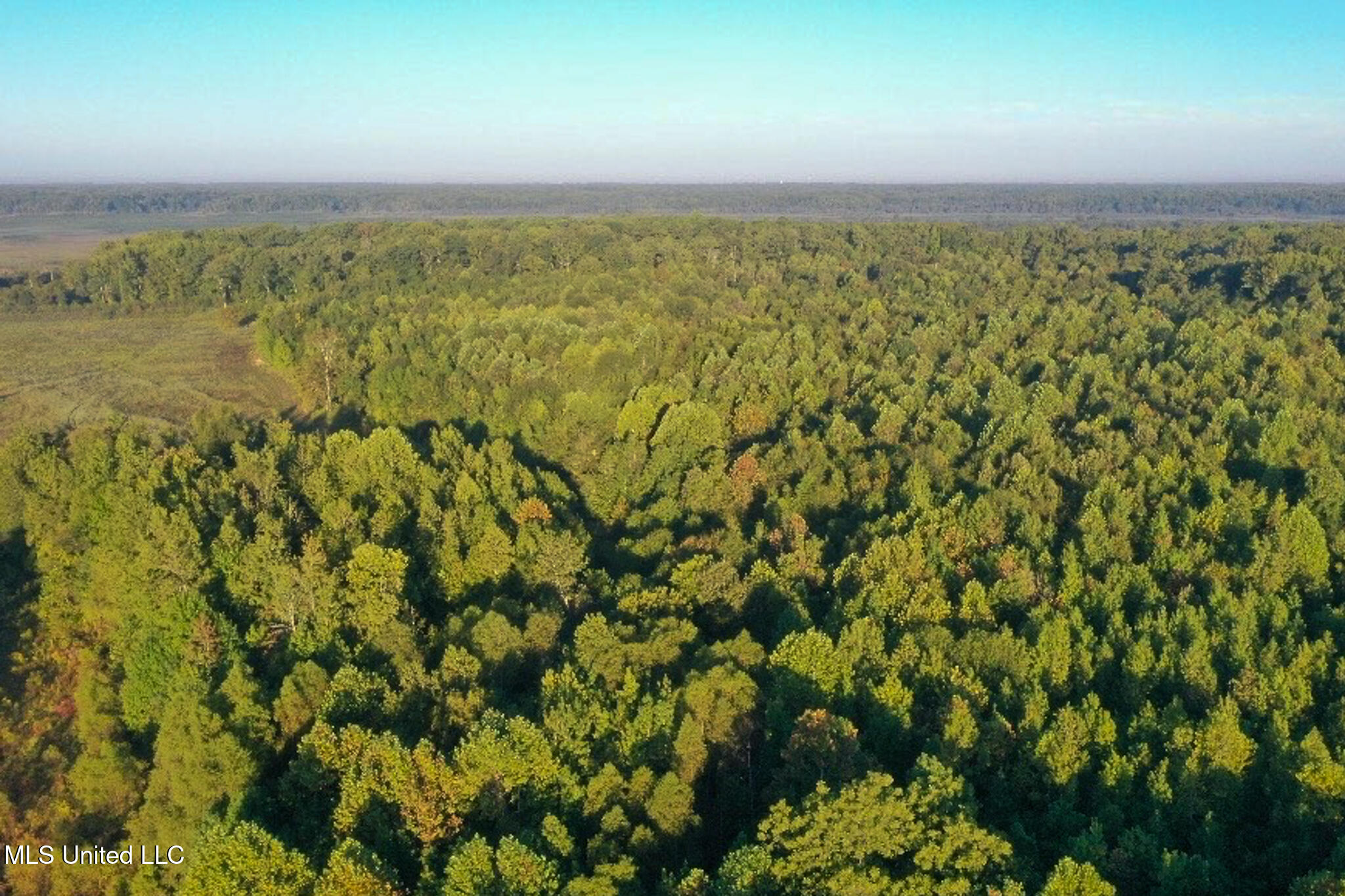 Davis Lane Hernando, MS 38632 - Photo 14 of 43 MLS-DeSoto 329 Prewett (Thompson) -14