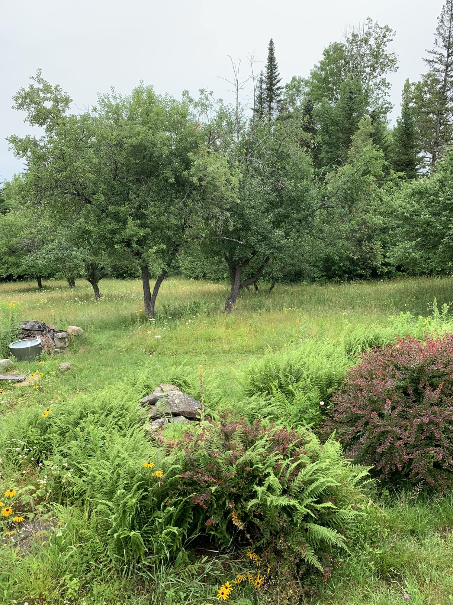 423 Stream Road Ripley, ME 04930 - Photo 6 of 22 Front Yard