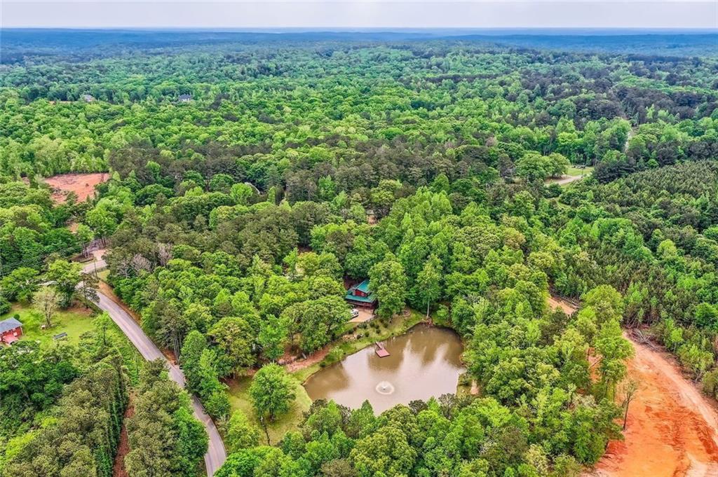 5419 Tyree Road Winston, GA 30187 - Photo 17 of 77